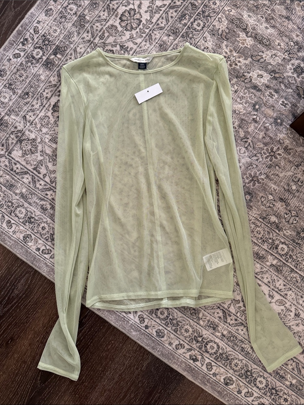American Eagle Outfitters Sheer Long-Sleeve Top in Sage